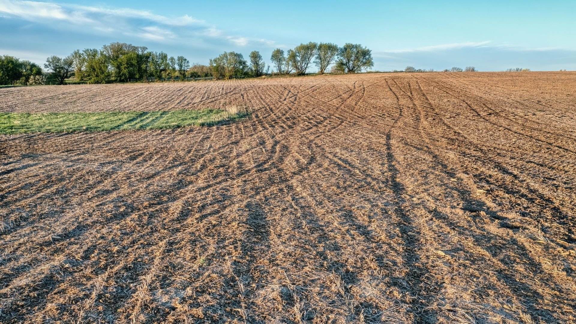 Plowed agricultural field with row patterns and trees along horizon under blue sky.